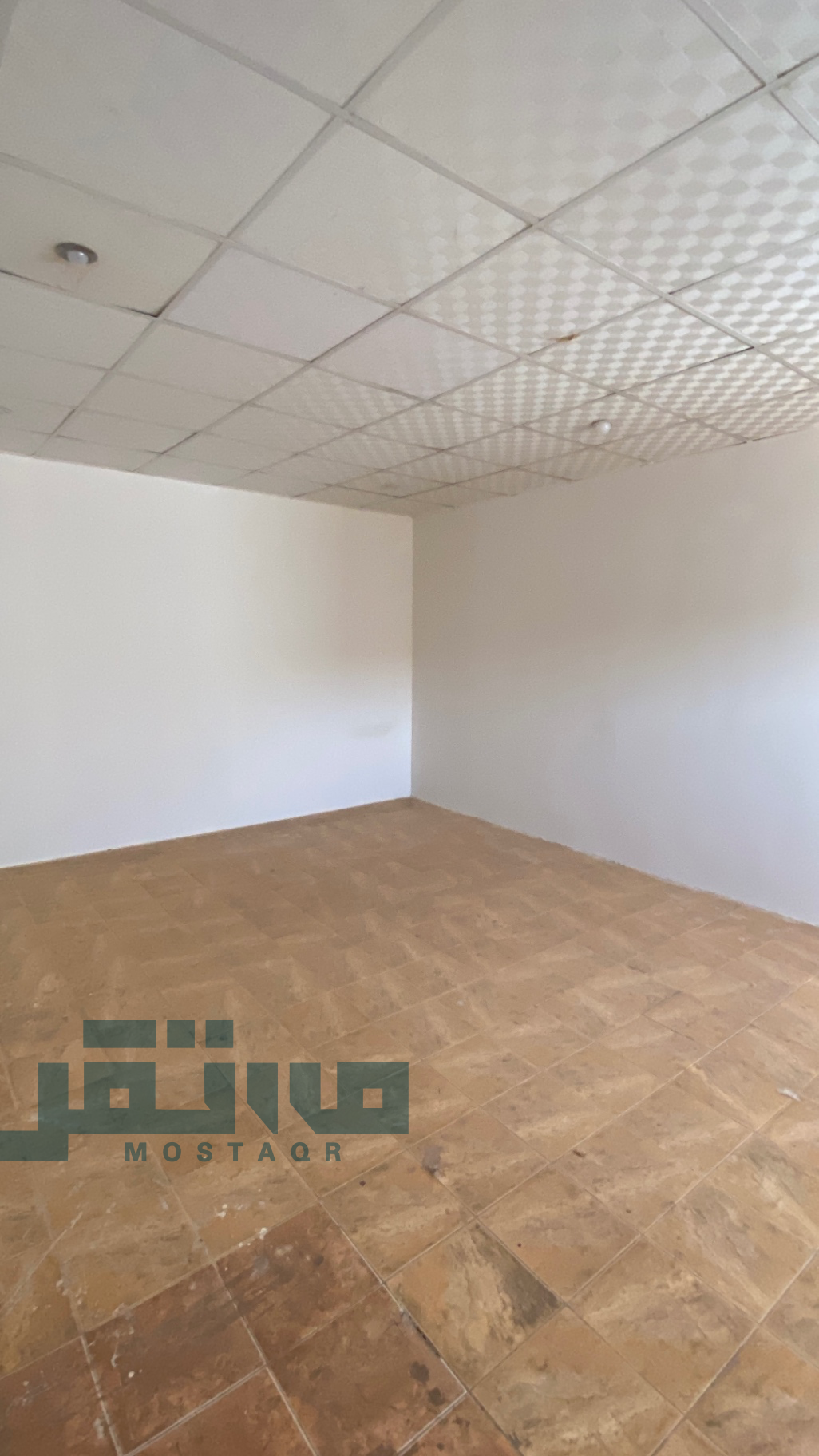 استراحة للإيجار حائل — صورة 3