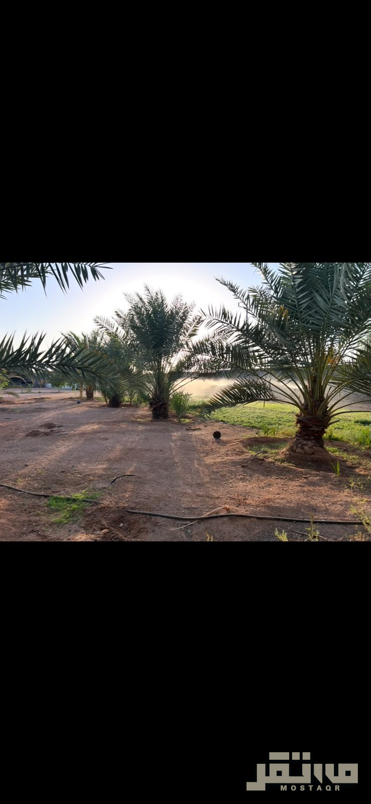 استراحة للبيع في حي حقروصين حائل — صورة 4