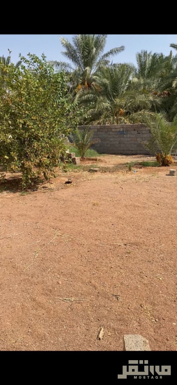 استراحة للإيجار في حي النيصية حائل — صورة 1